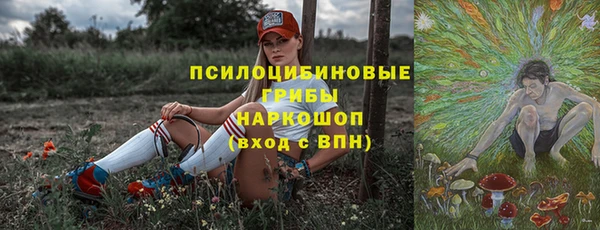 трава Беломорск