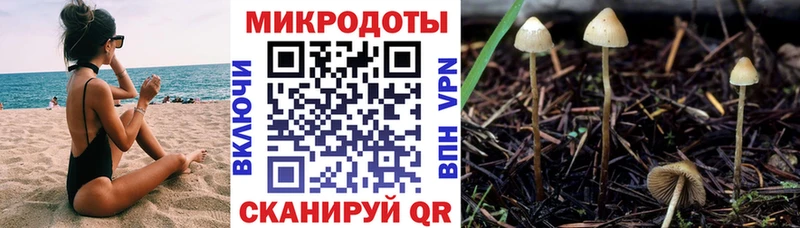 Псилоцибиновые грибы GOLDEN TEACHER  купить закладку  Высоковск 